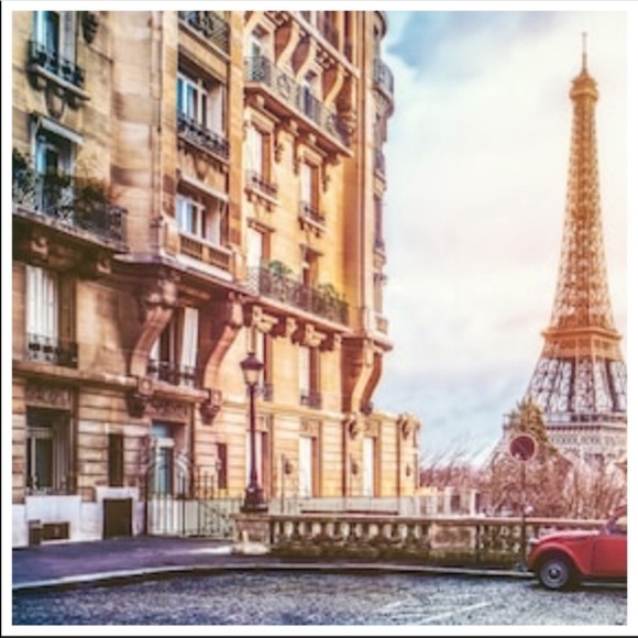 Other - Sherpa Micro Mink Reversible Throw Blanket